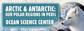 Arctic and Antarctic