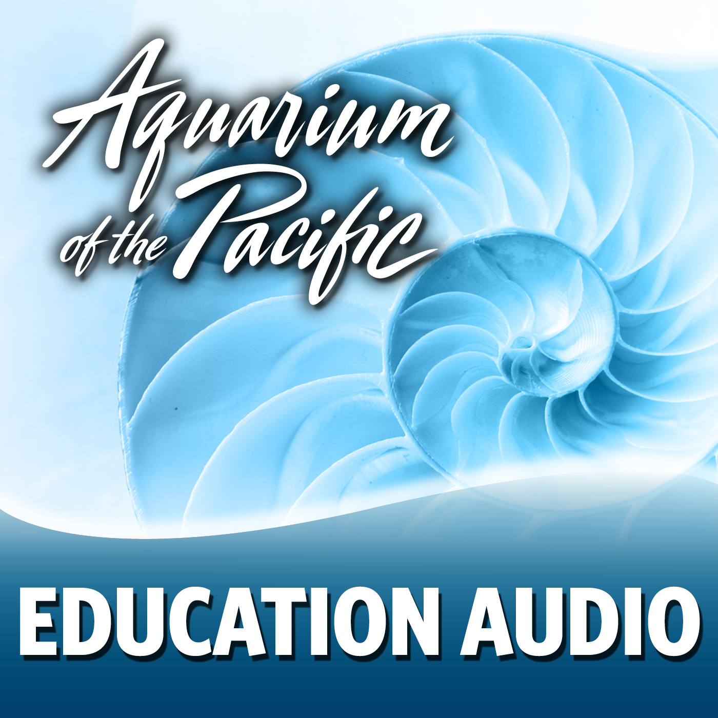Education Audio