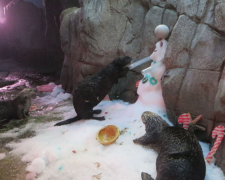 Otter touching a snowman's plastic arms
