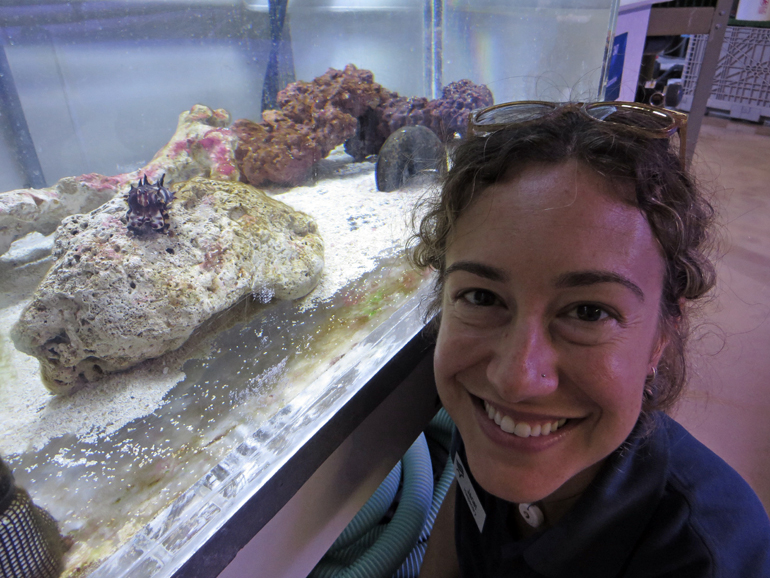Flamboyant cuttlefish with Aquarist Janet next to the tank
