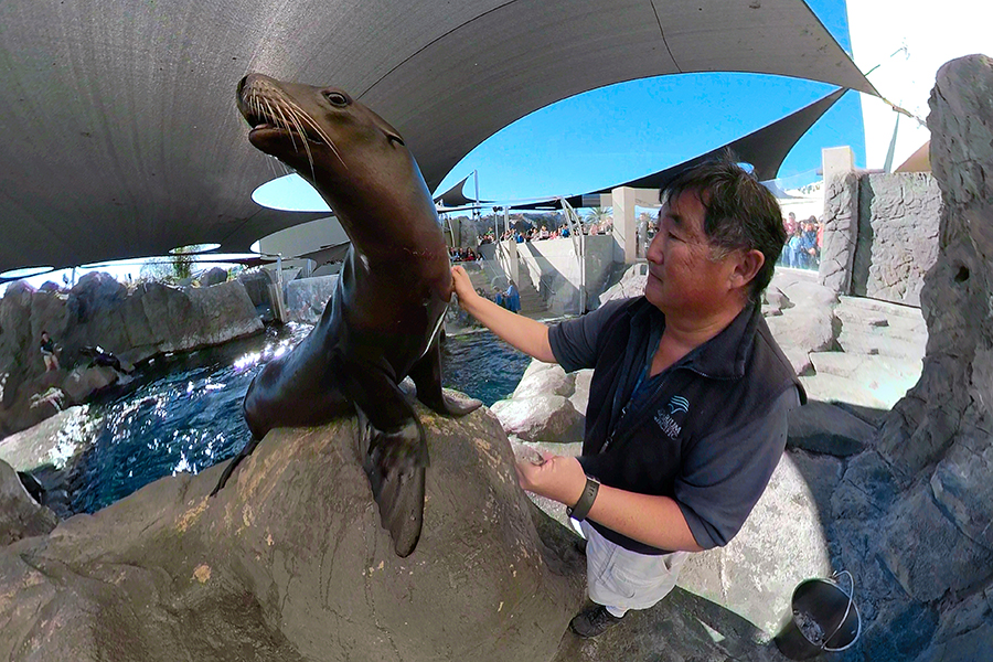 Hugh and Harpo the Sea Lion taken with a GoPro Fusion