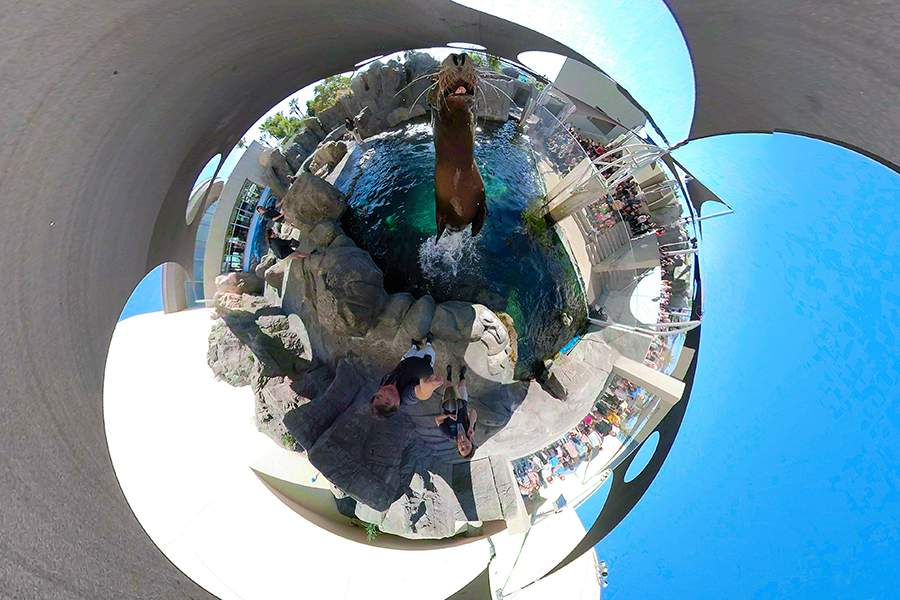 Harpo tiny planet leap