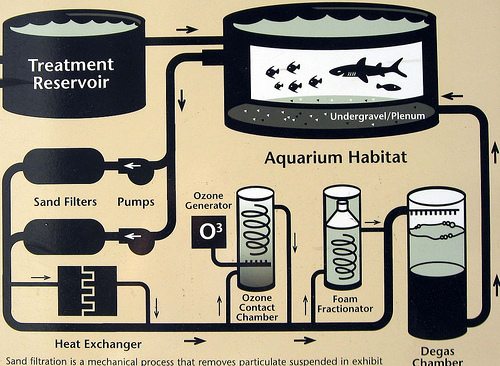 Filtration infographic
