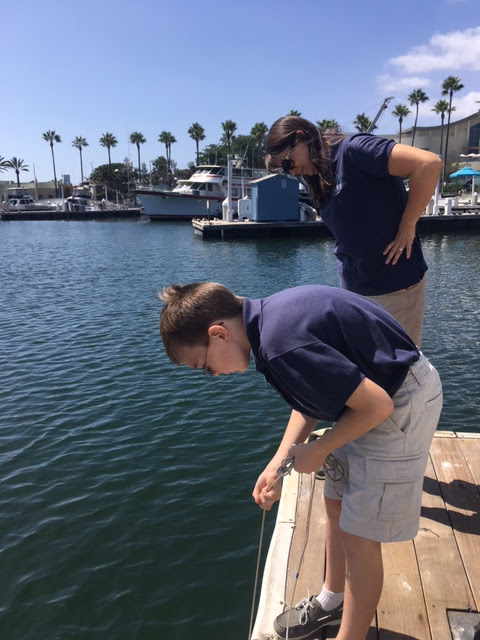 volunteers collect plankton samples off a dock