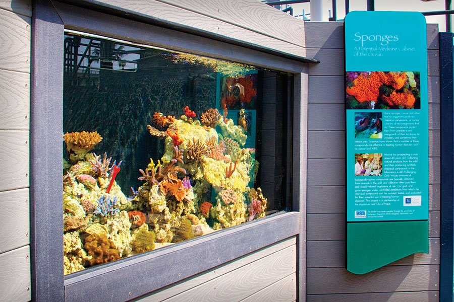 Coral and Sponge exhibit next to a sign