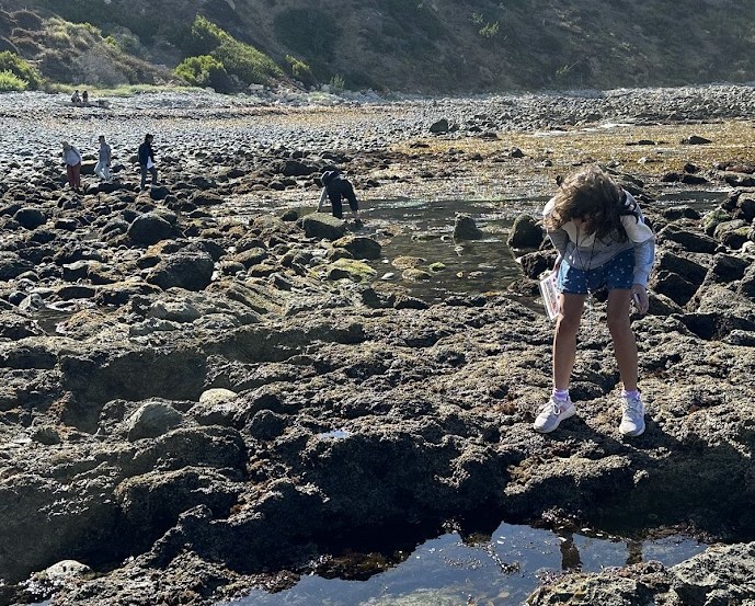 Person exploring a rocky tidal pool area, with others in the background by the water