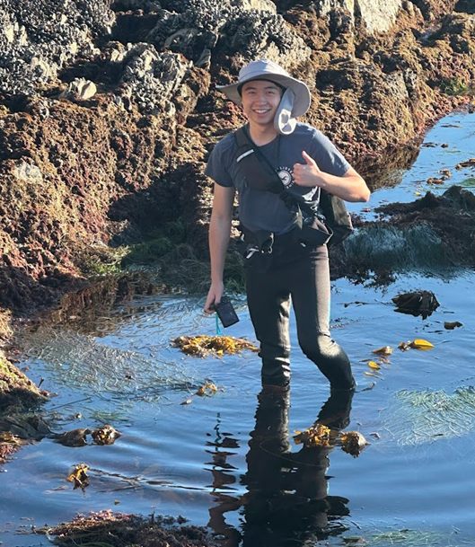 Person standing in tidal pool at the beach, wearing a hat and giving a thumbs up, with rocks and seaweed around