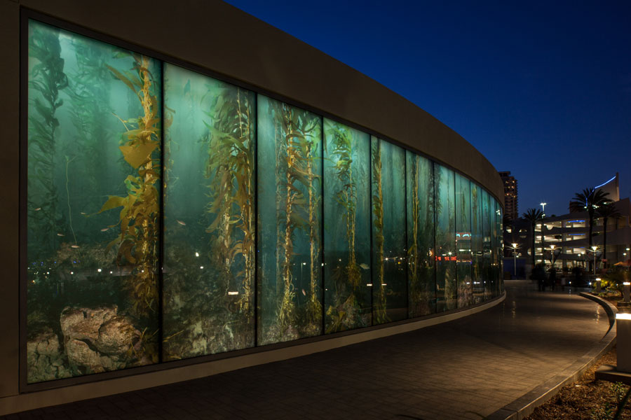 Exterior shot of the Aquarium