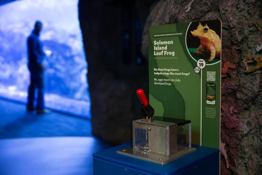 Embossing station at entrance of tropical tunnel
