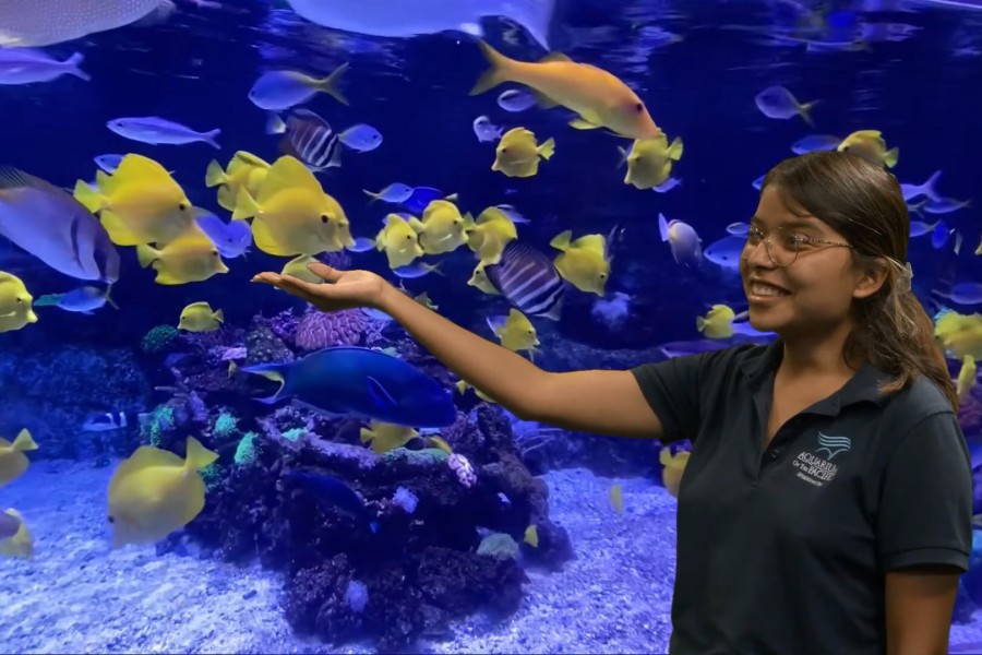 Aquarium Educator and screen