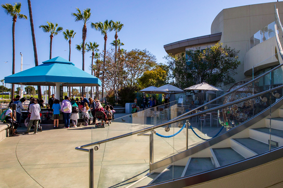 Harbor Terrace showing touchpool and stairs