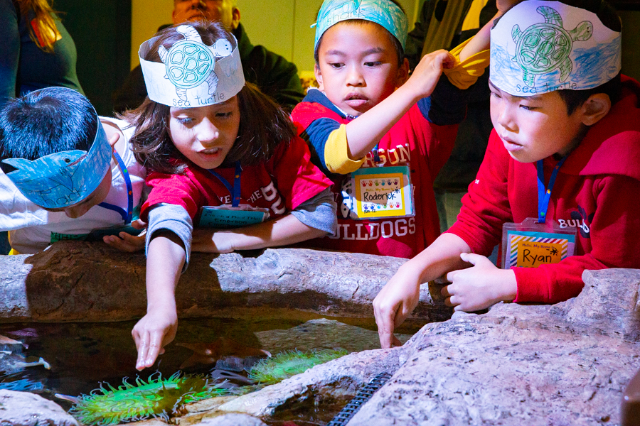 School kids at touch tank