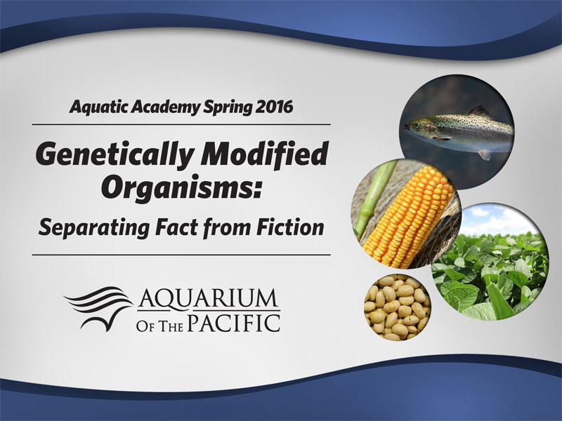 800x600_Aquatic_Academy_0116_V1.jpg.jpeg