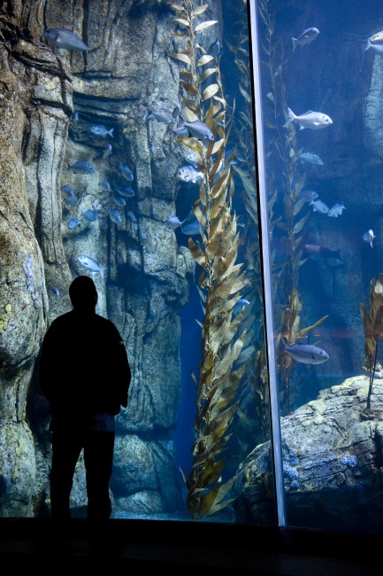 Adult silhouette against Blue Cavern