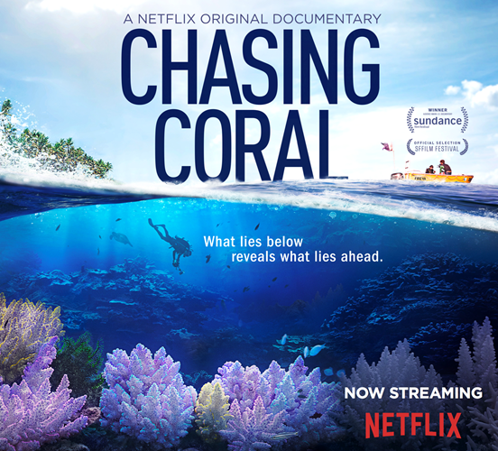 Chasing Coral poster