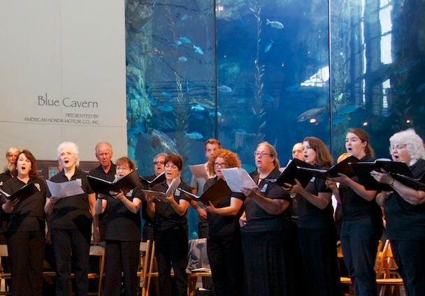 Long Beach Chorale at Honda Blue Cavern exhibit