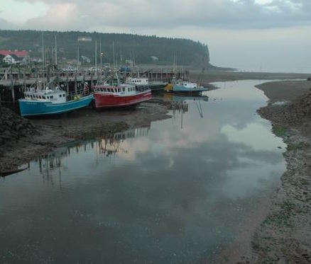 Boats stuck in low tide
