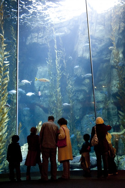 Guests in front of Blue Cavern exhibit