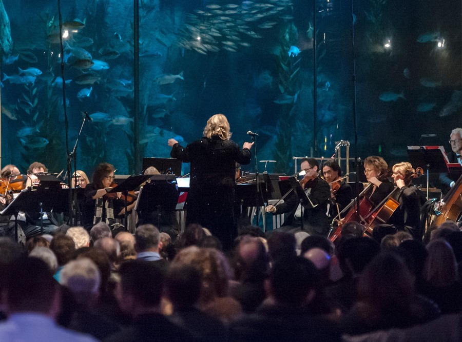Musique Sur La Mer at the Aquarium