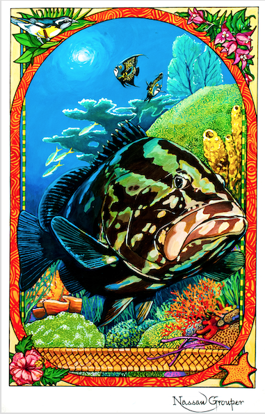 Nassau_Grouper_painting_by_Andres_Pruna.png
