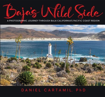cartamil-bajas-wild-side-front.jpeg