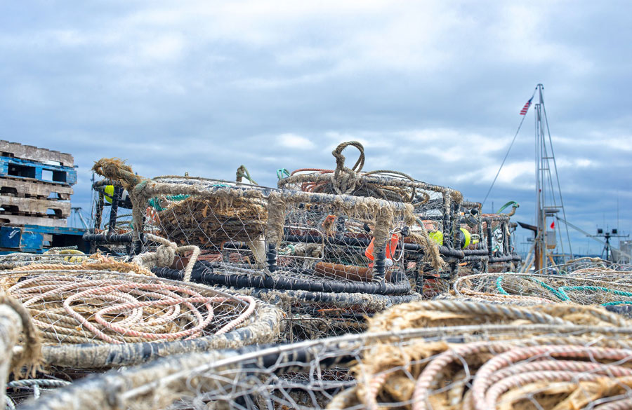Crab pots and rope