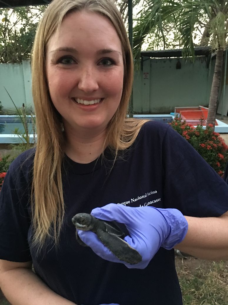 saving-sea-turtles-blog_01_775_1033_80auto_c1_c_c_0_0_1.jpg