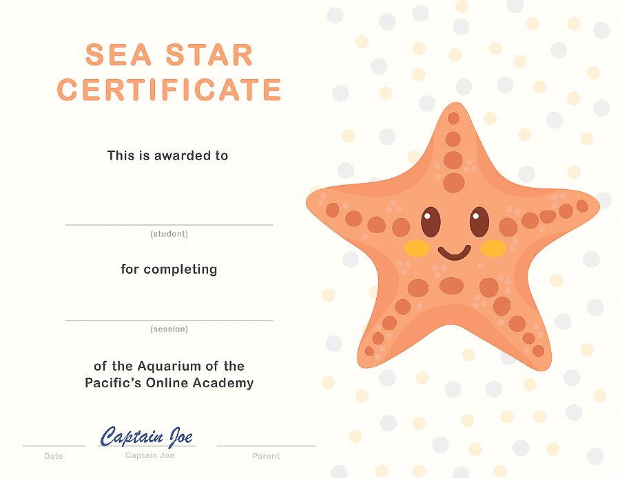 Sea Star Certificate