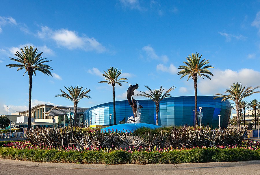 2019 pacific visions exterior and dolphin statue