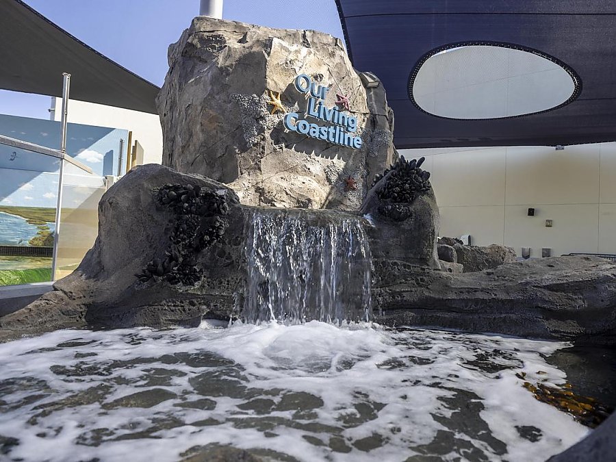 Our Living Coastline exhibit facade