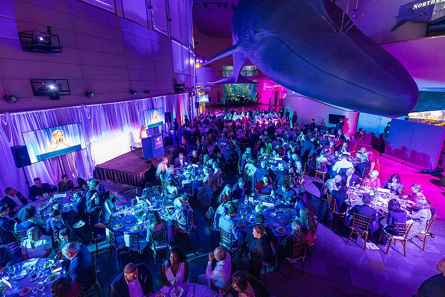 Blue Whale Gala 2025 Dinner