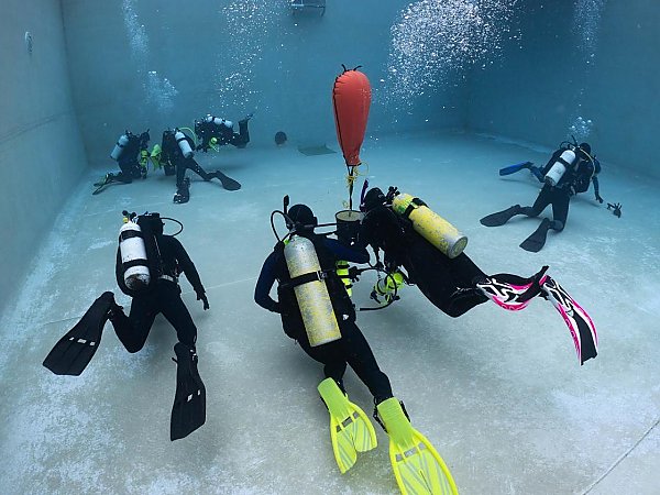 scuba divers underwater for aaus class practicing different skills at the BML dive training facility