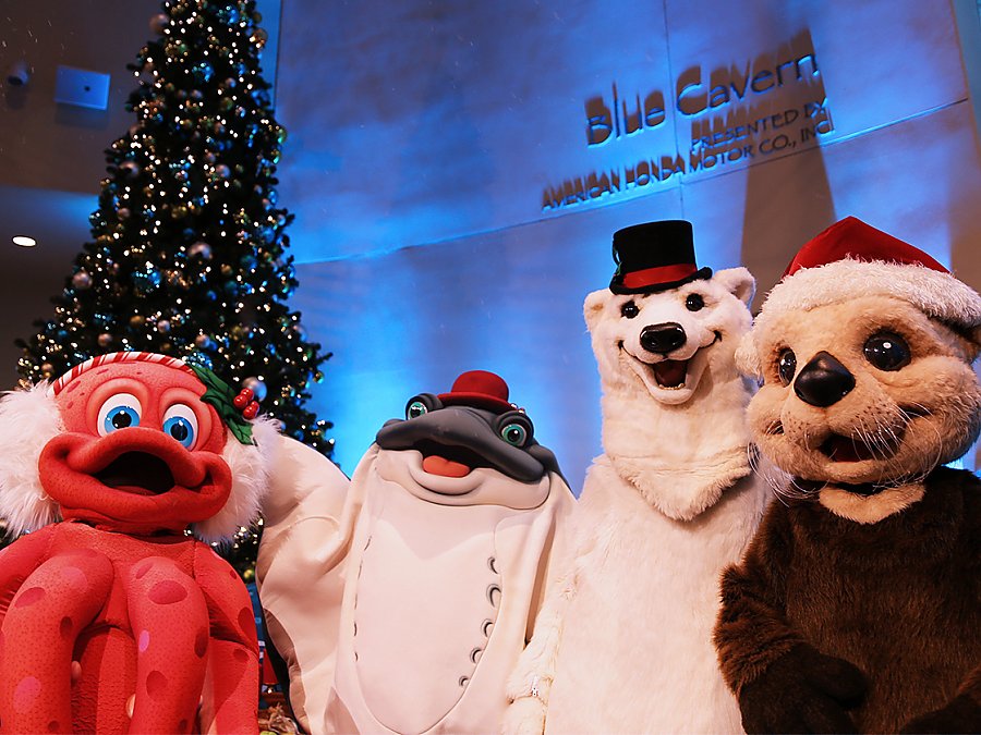 aquarium mascots standing in front of tree