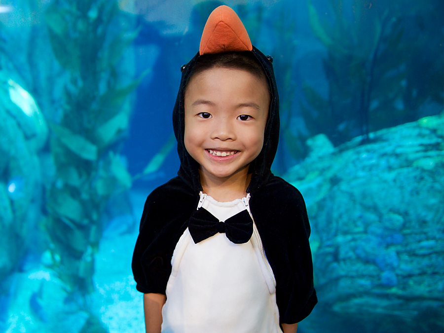 boy in penguin costume at scarium