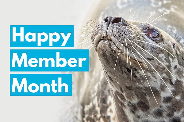 2020 happy member month with seal