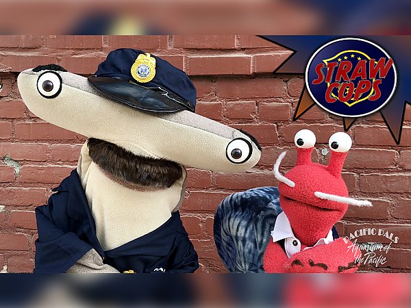 hammerhead shark and hermit crap puppets in front of brick backdrop