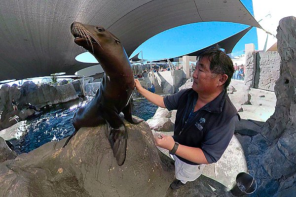 Hugh and Harpo the Sea Lion taken with a GoPro Fusion