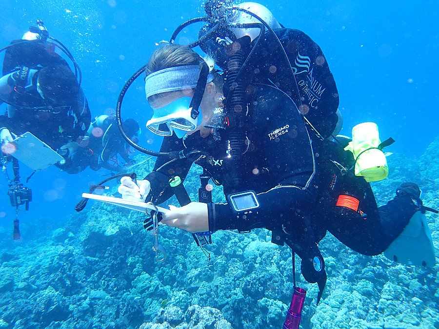 scientific diver conducting survey