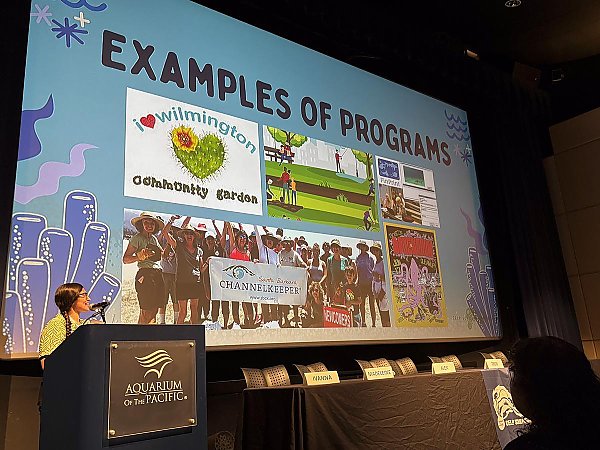Scholar at a podium presents a slide deck on a large screen with "Examples of Programs" and a collage of photos