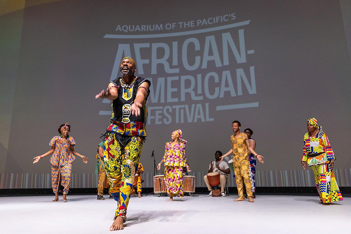 West African Drumming and Dancing - Dembrebrah