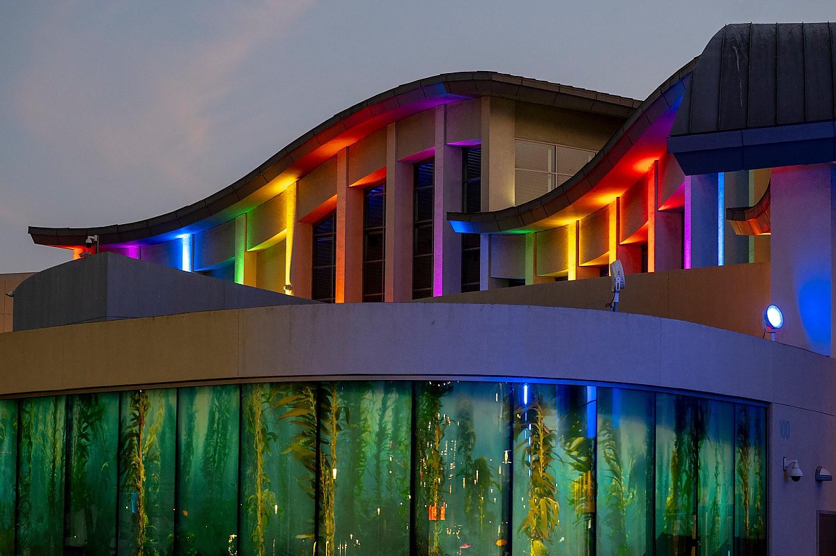 Aquarium exterior with rainbow lighting in honor of Pride