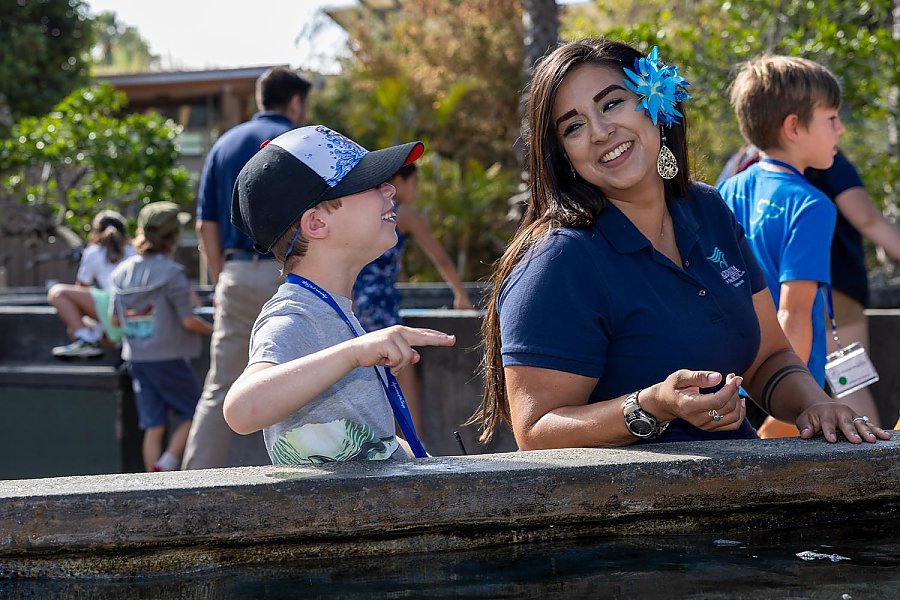 Boy shows two-finger-touch hand in Shark Lagoon accompanied by an Aquarium educator