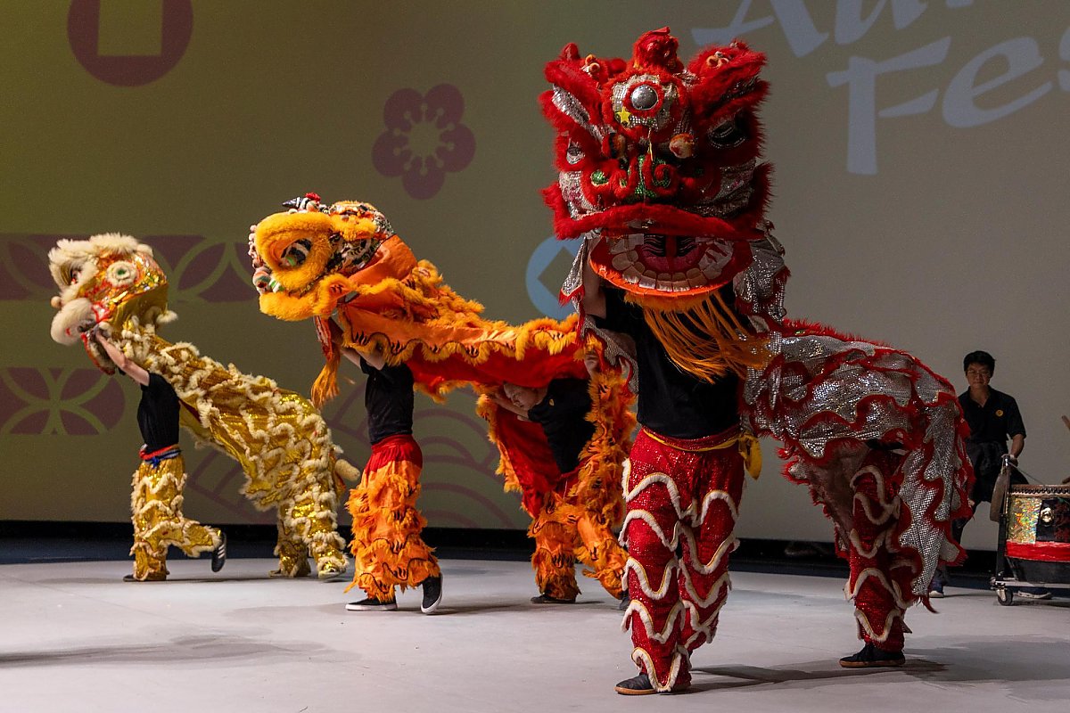 Northern Shaolim Kung Fu – Lion Dance