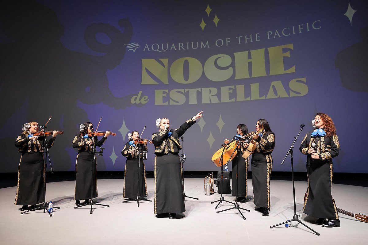 Mariachi Divas de Cindy Shea during Noche de Estrellas