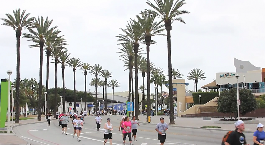 5k runners jog palm-tree lined street
