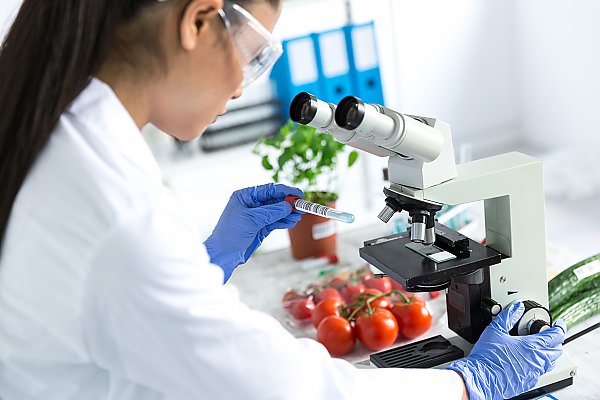 Woman in lab coat looks at samples in a microscope with fresh produce in the background.