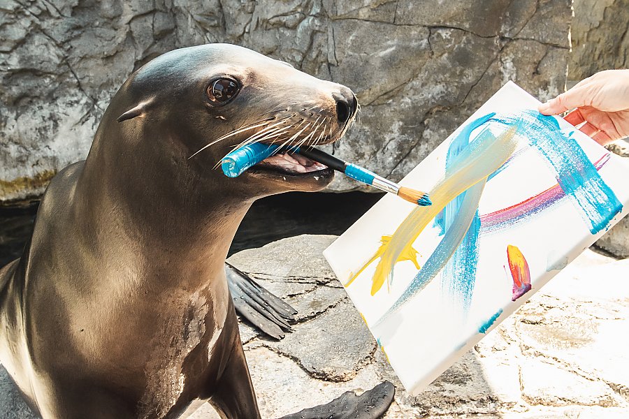 sea lion holds specially-adapted T-brush in mouth next to his colorful painting on canvas