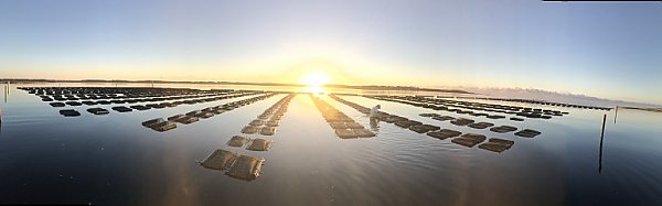 offshore aquaculture farm
