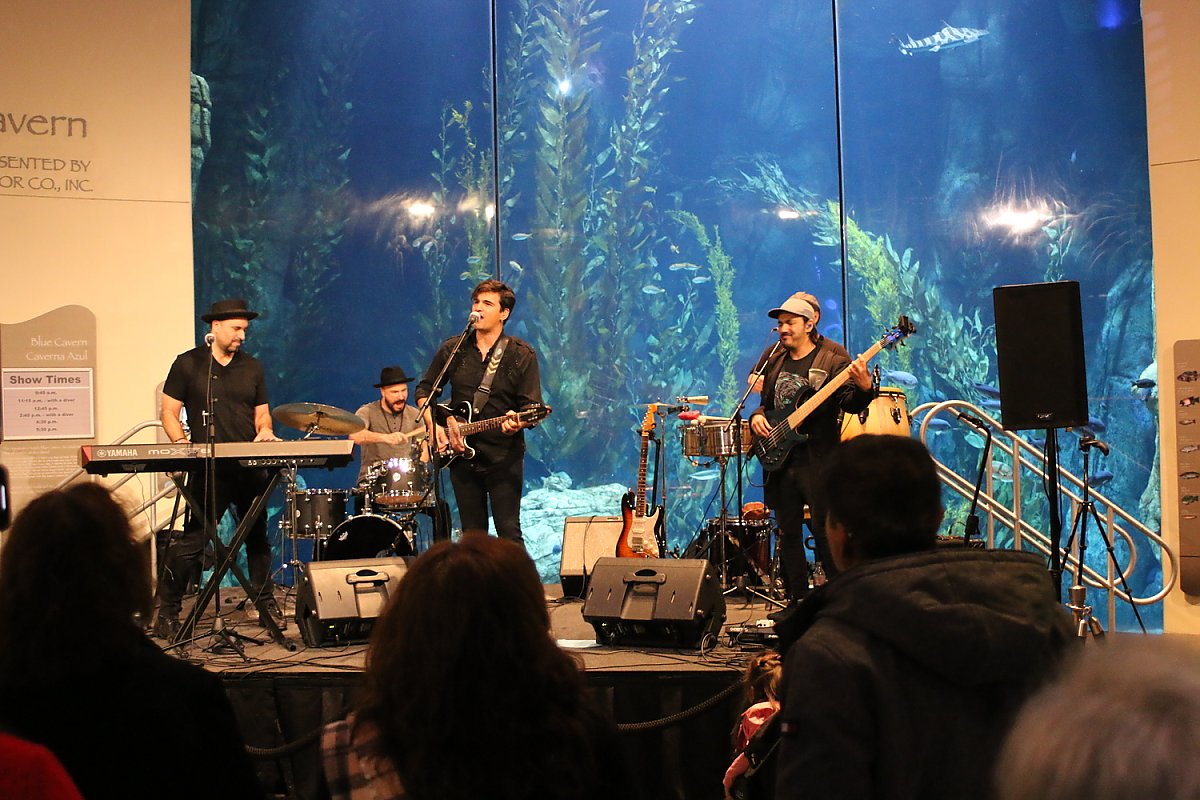live musical performance in front of Blue Cavern