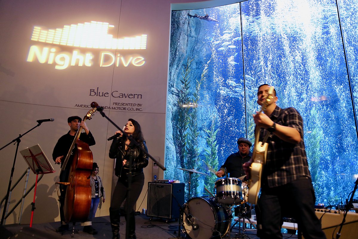 Band playing Main Stage at Night Dive in front of Bubble Curtain